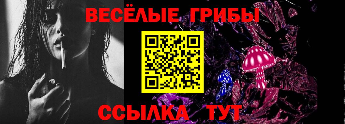 Вольск  Псилоцибиновые грибы прущие грибы  наркотики  Вход с VPN  Псилоцибиновые грибы Magic Shrooms 